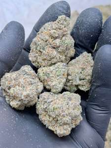 Permanent Marker SALE