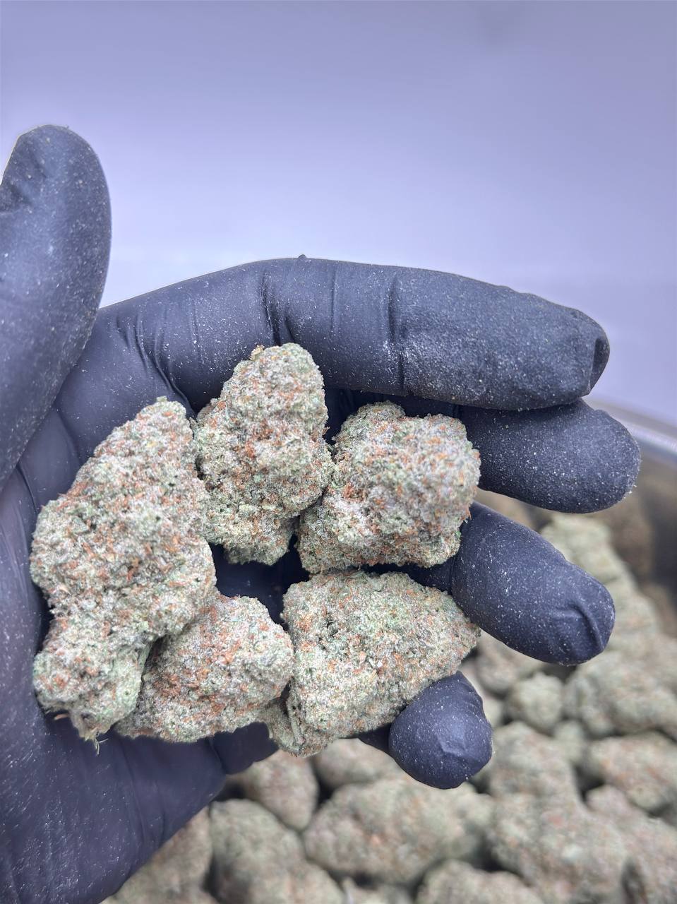 GMO Ethos Cookies - Image 4