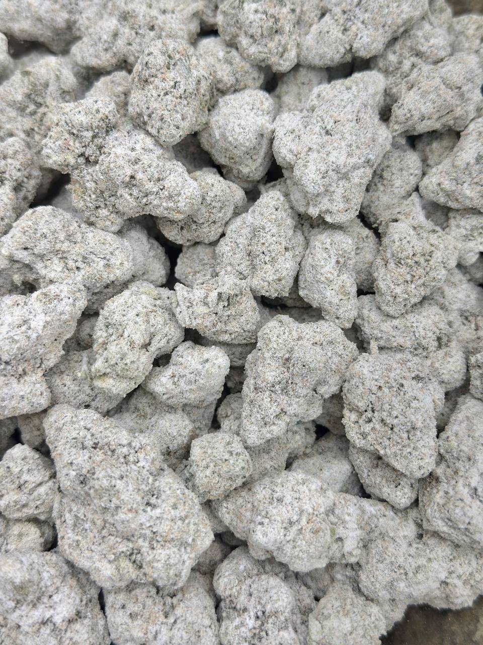 Diamond Sherb - Image 3