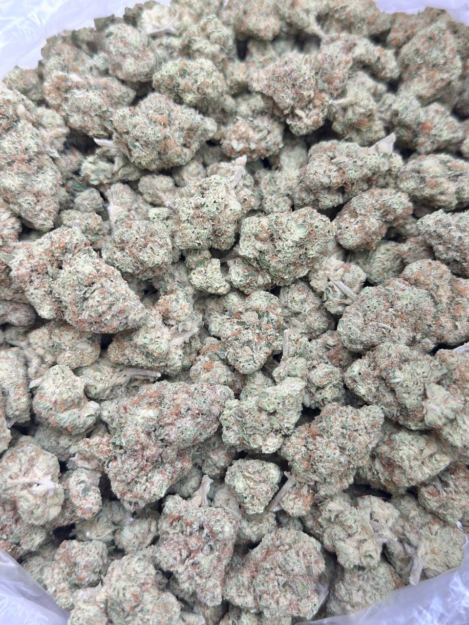 Orange Cream Pop - Image 4