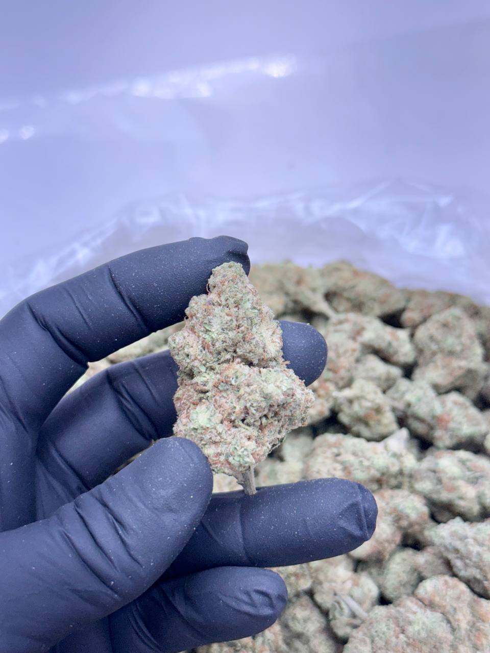 Orange Cream Pop - Image 3