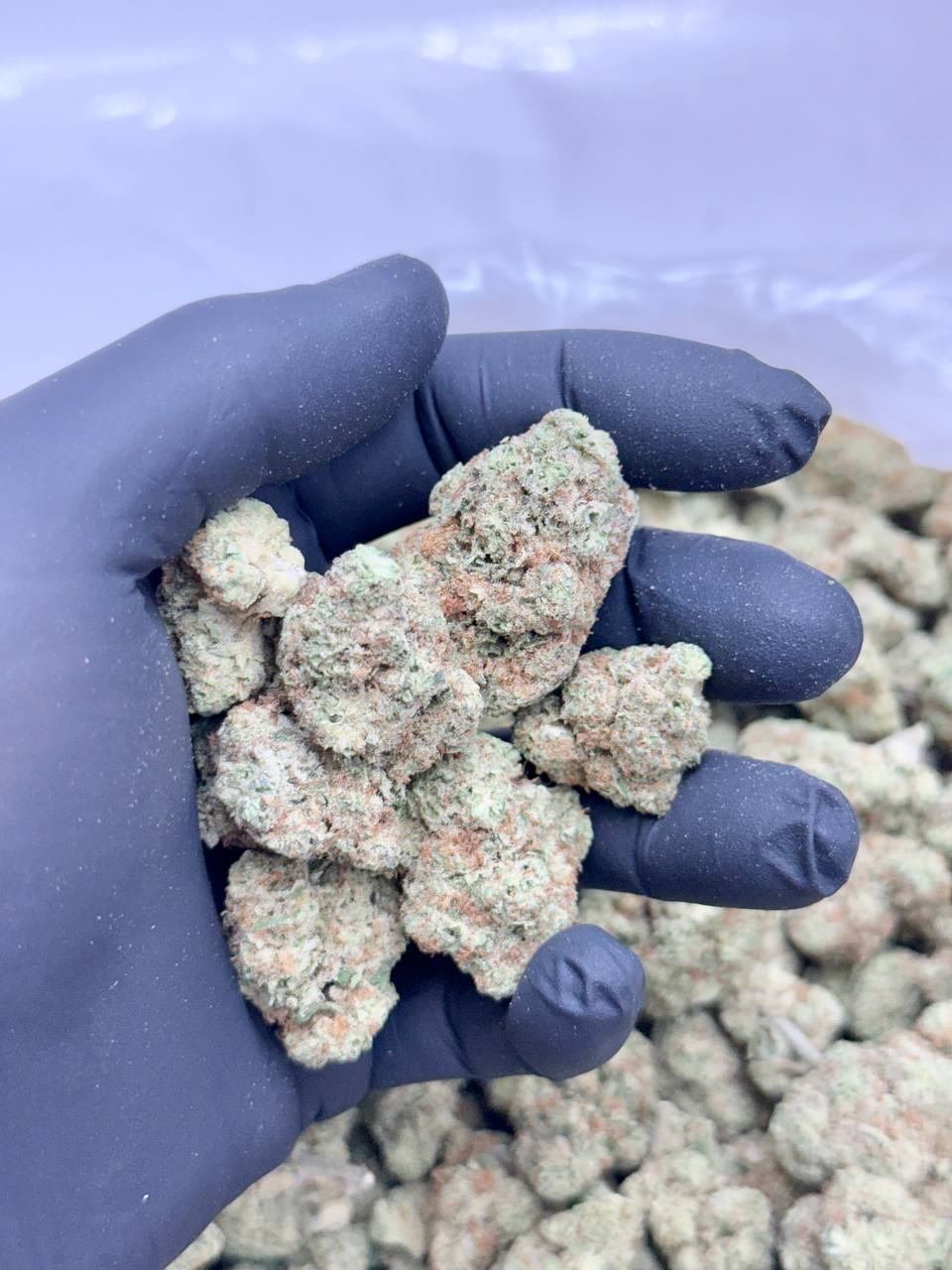 Orange Cream Pop - Image 2