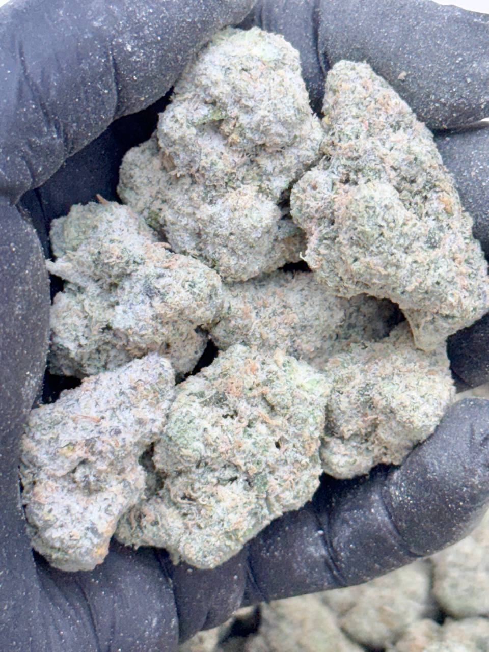 Diamond Rainbow Blast - Image 3