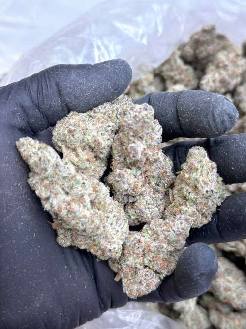 Super Boof V2- Living Soil-Lucky's Favorite's Pick!!! clearance