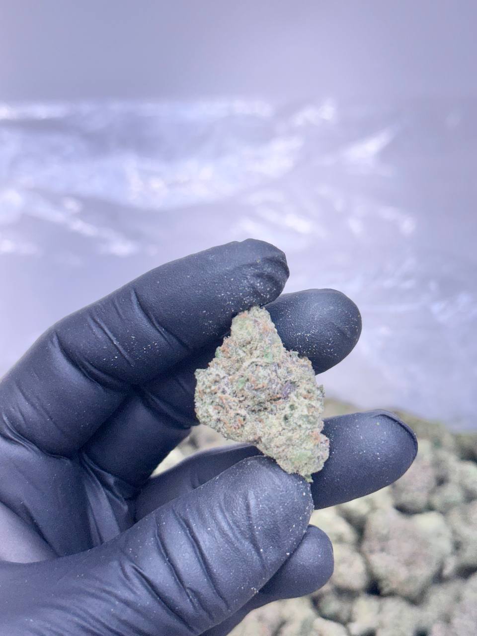 Slurple Fritz - Image 5