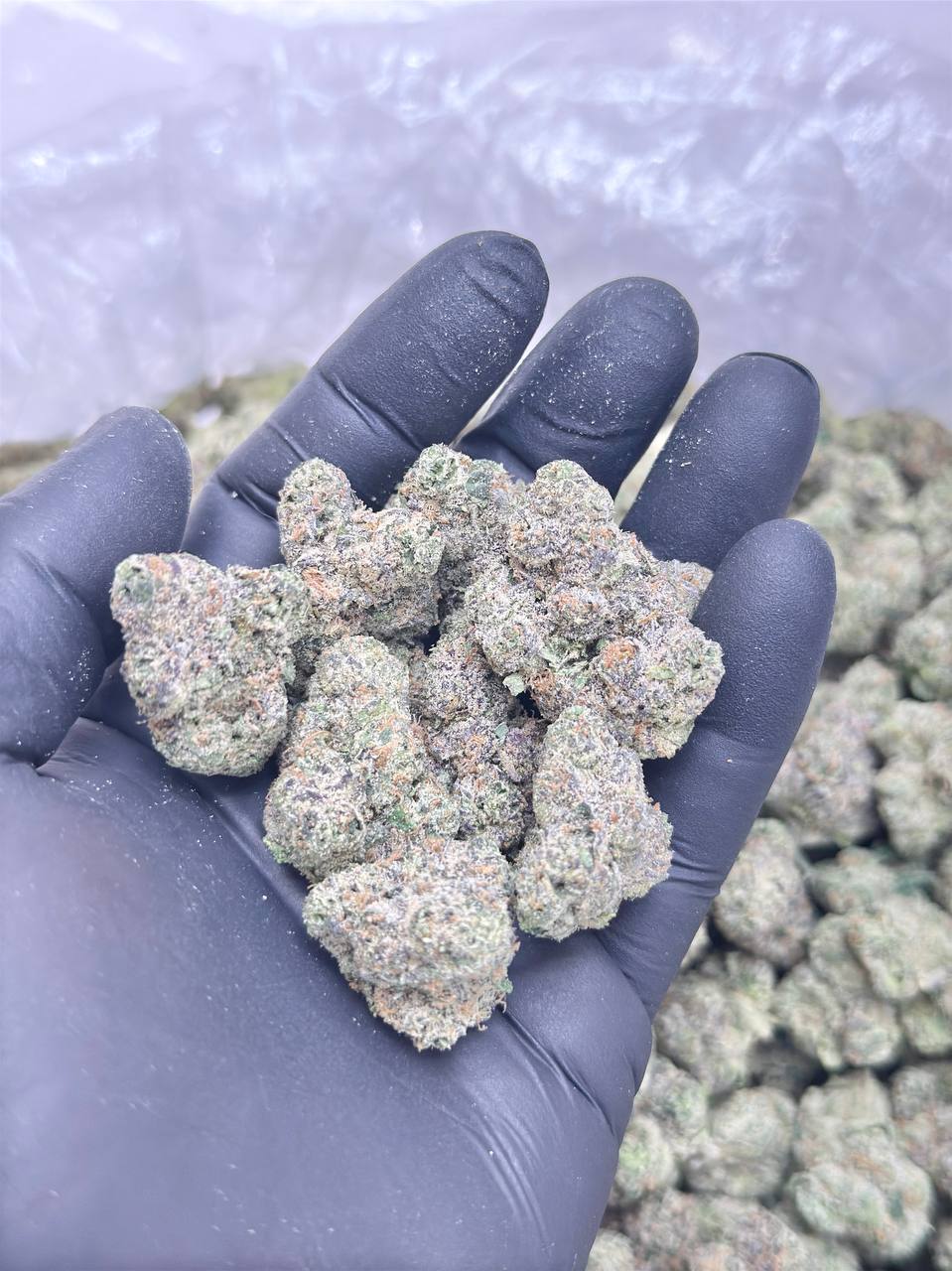 Slurple Fritz - Image 4