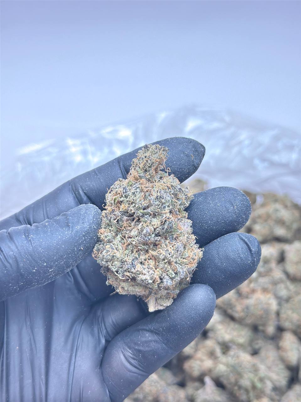 Grapefruit Zlushiez - Image 5