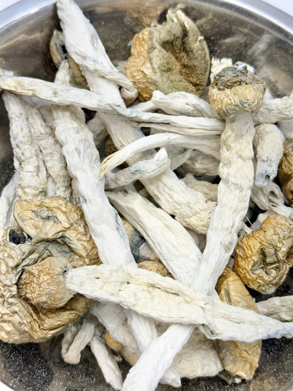 Penis Evy Thrasher - Image 2