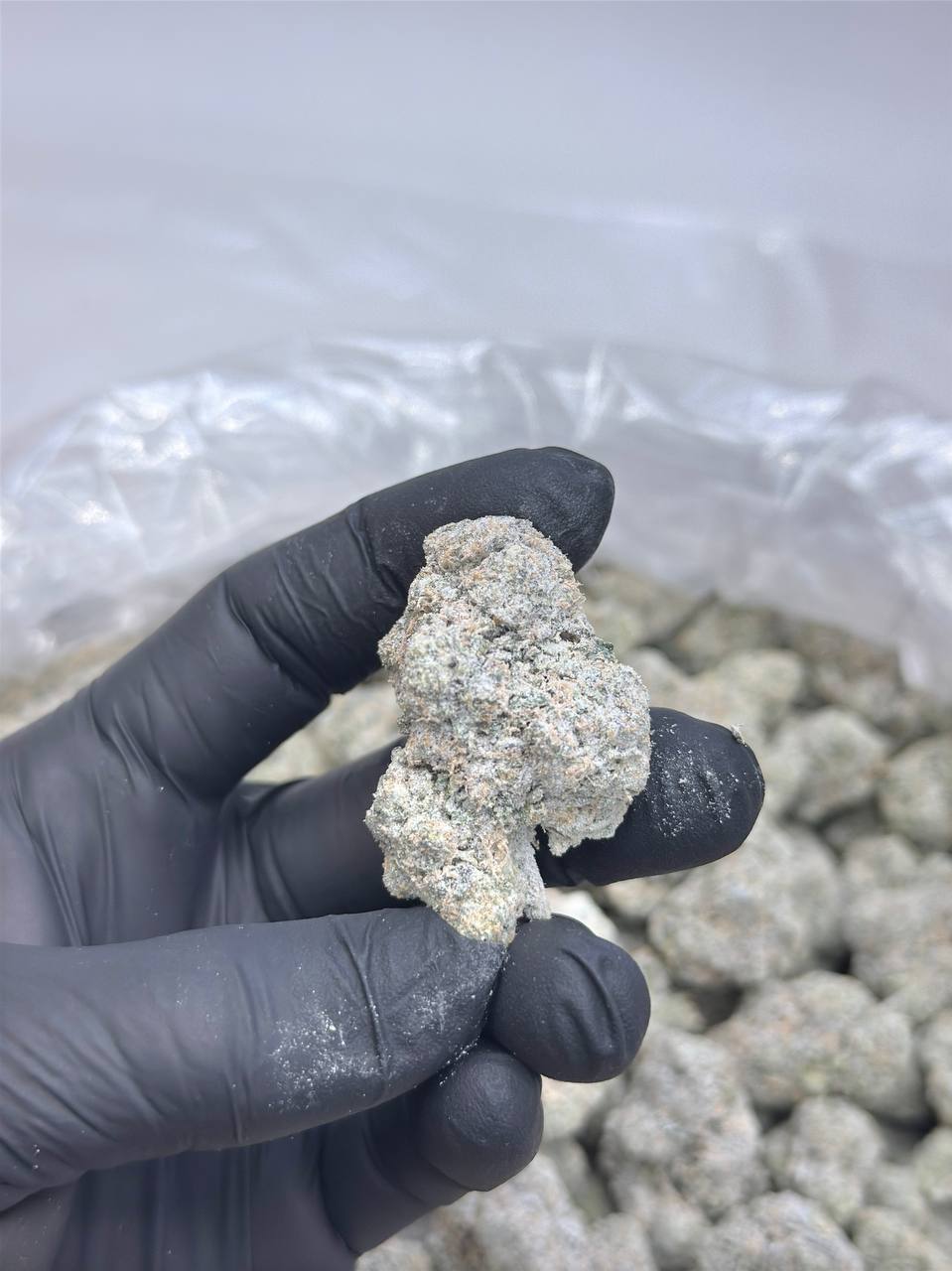 Diamond RS11 SALE - Image 2