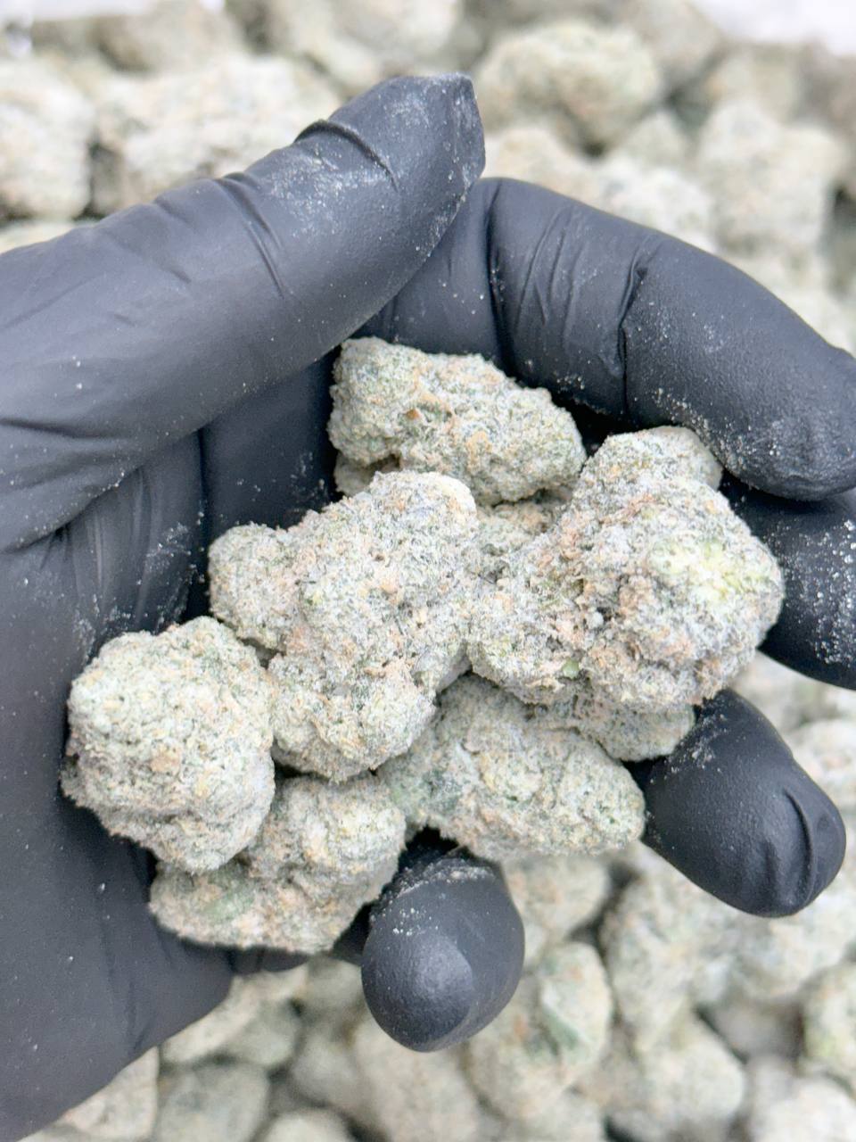 Diamond RS11 SALE - Image 3