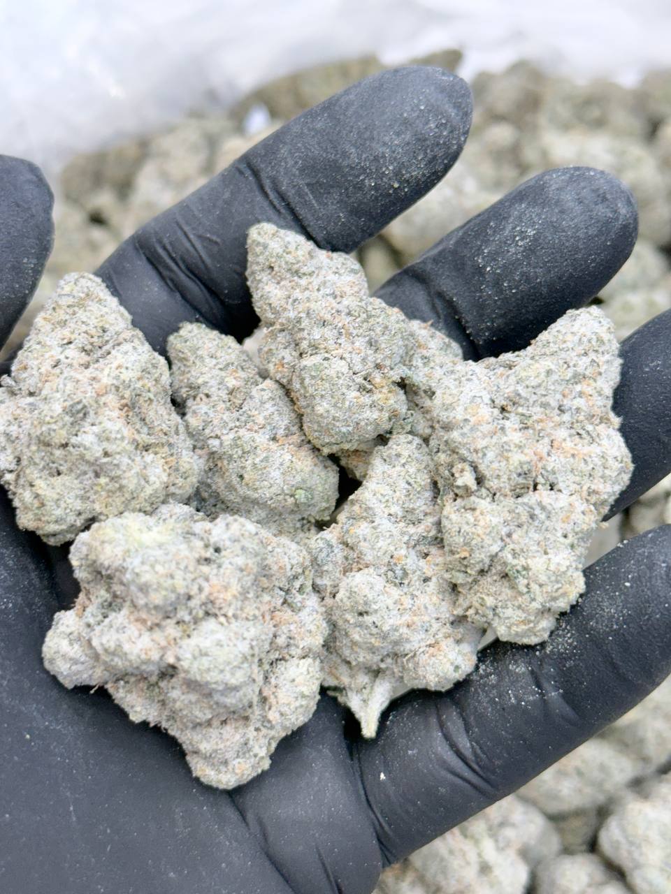 Diamond Pink Zkittles - Image 4