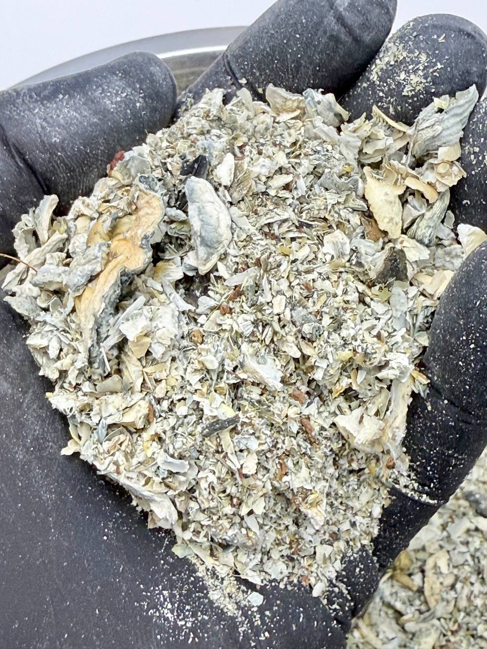 Mushroom SHAKE - Image 2