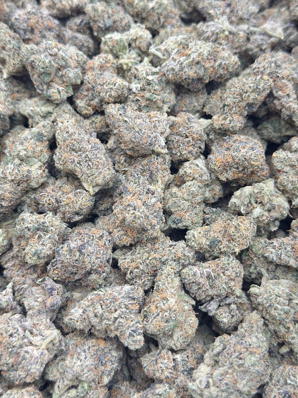 Dulce De Mio - Image 2