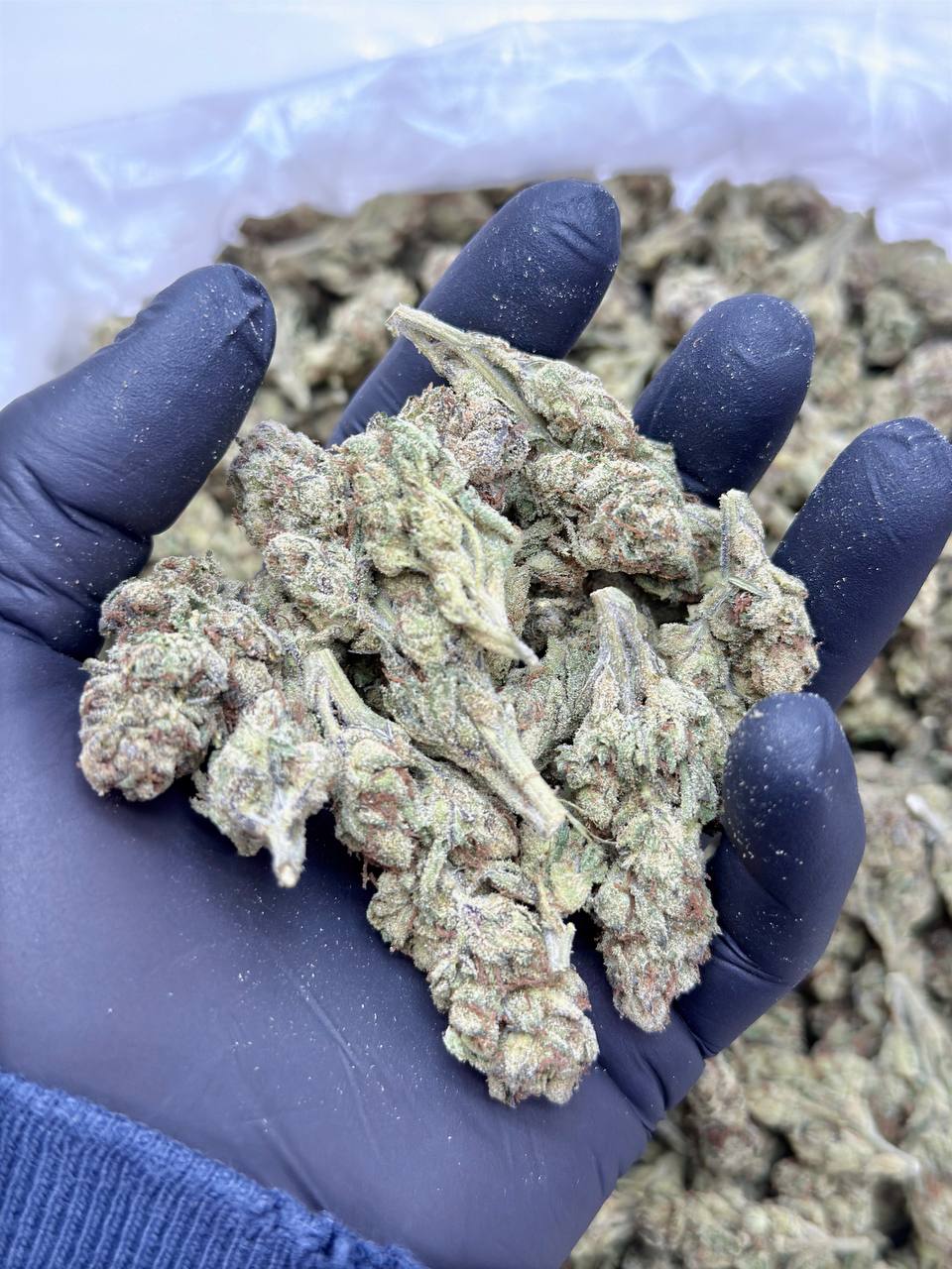 Cake Mix (Budget) - Image 2