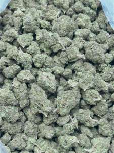 Berry Gelato (Budget)