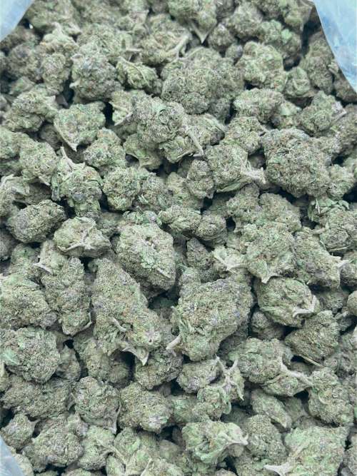 Berry Gelato (Budget)