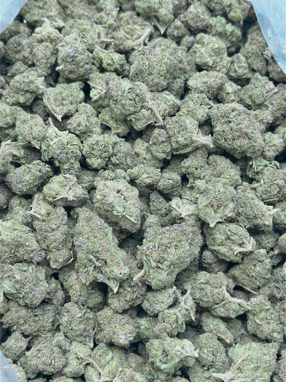 Berry Gelato (Budget)