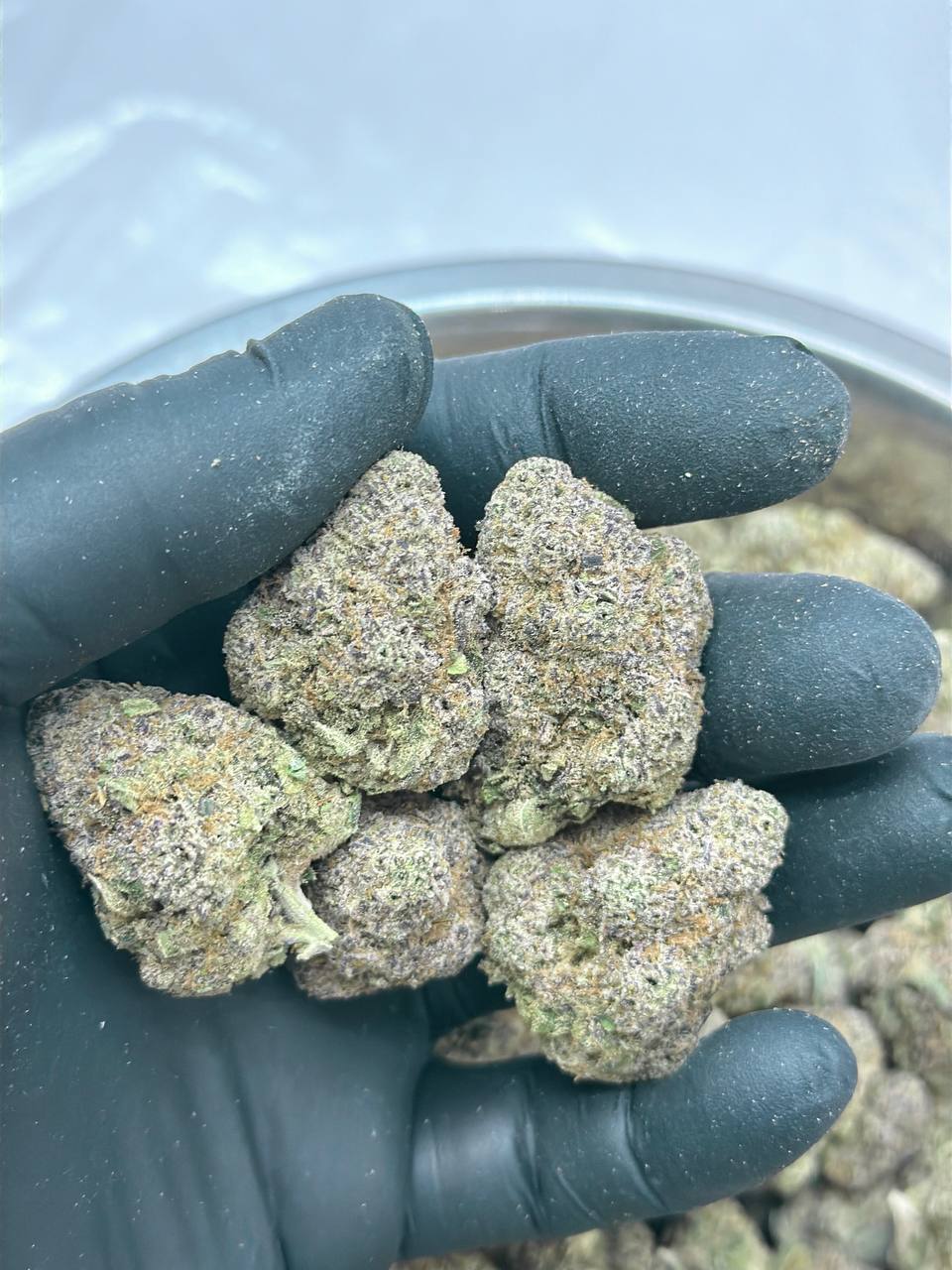 Gorilla Cake - Image 2