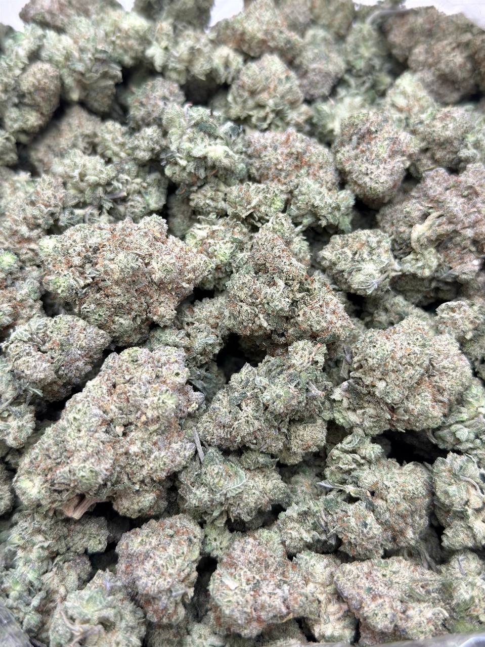 GG4 Budget - Image 4