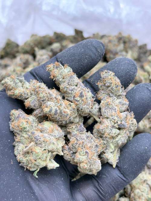 Grape Diamonds -Living Soil