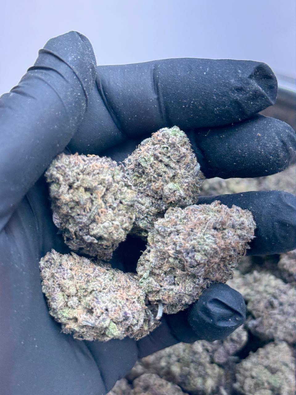 Chocolate Chunk - Image 4