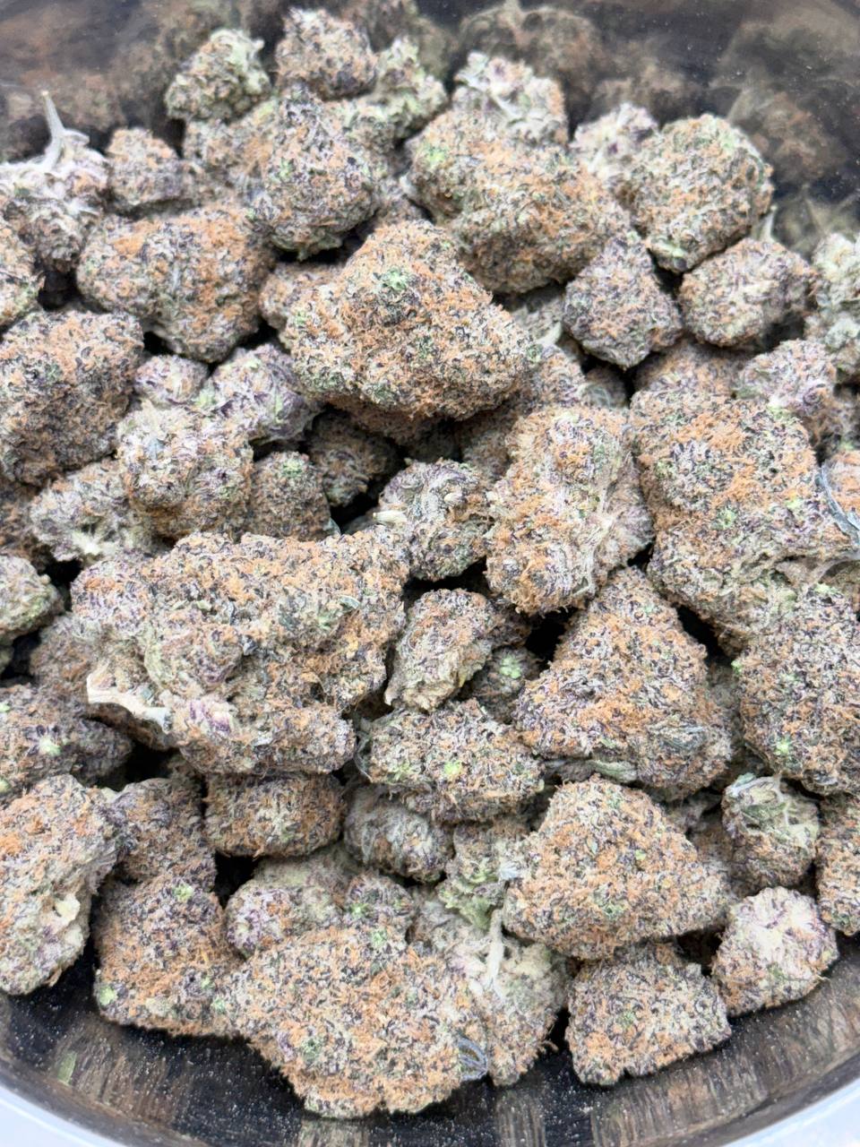 Swedish Phish - Image 3