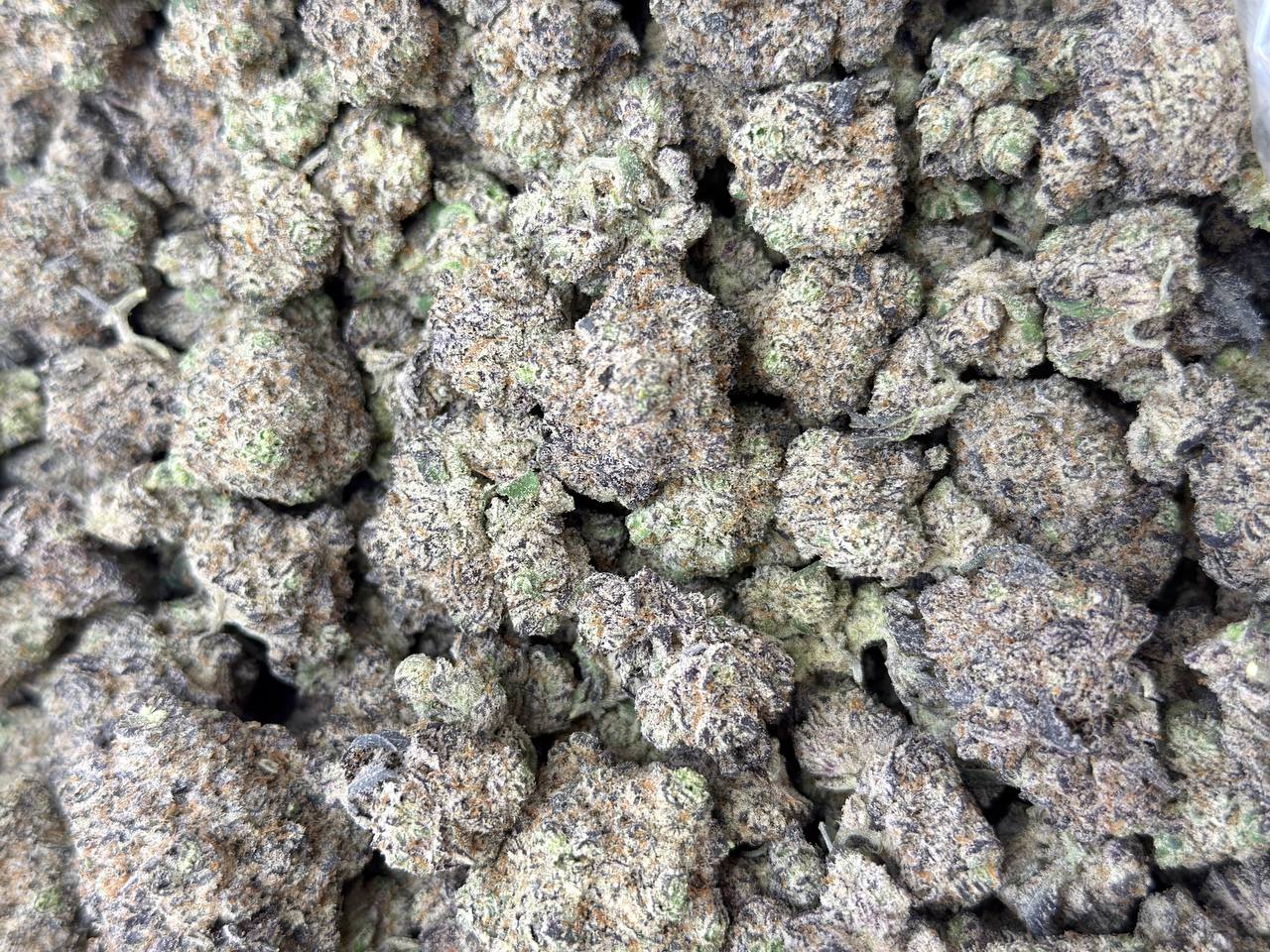 Mandalorian - Image 4