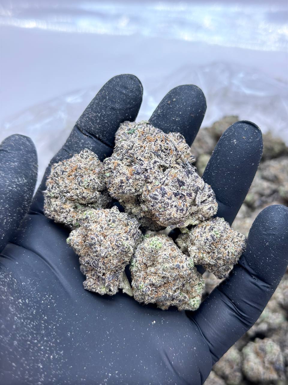 Mandalorian - Image 2