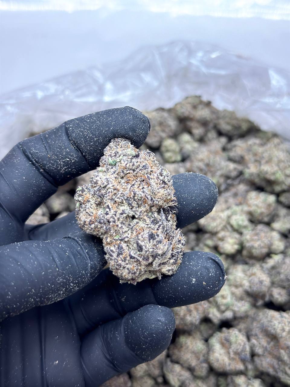 Mandalorian - Image 3