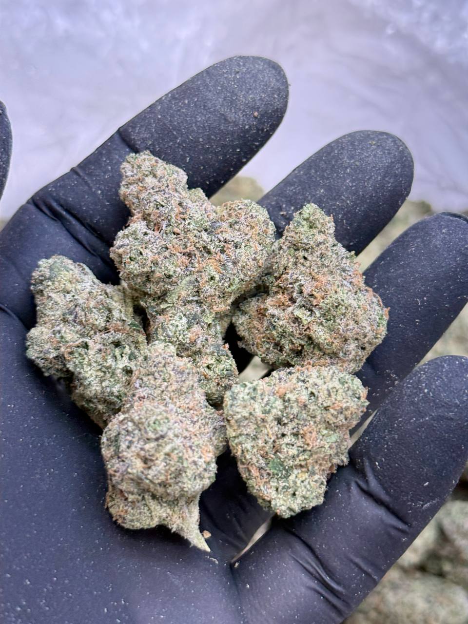 Apple Rock Candy-Ash Farms - Image 3