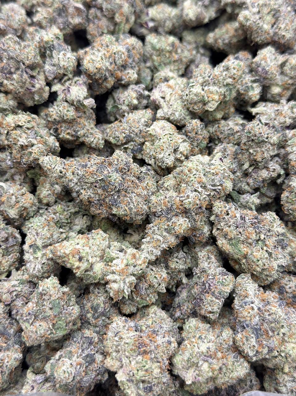 Dosi Breath-Premium Living Soil - Image 3