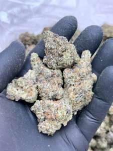 Dosi Breath-Premium Living Soil