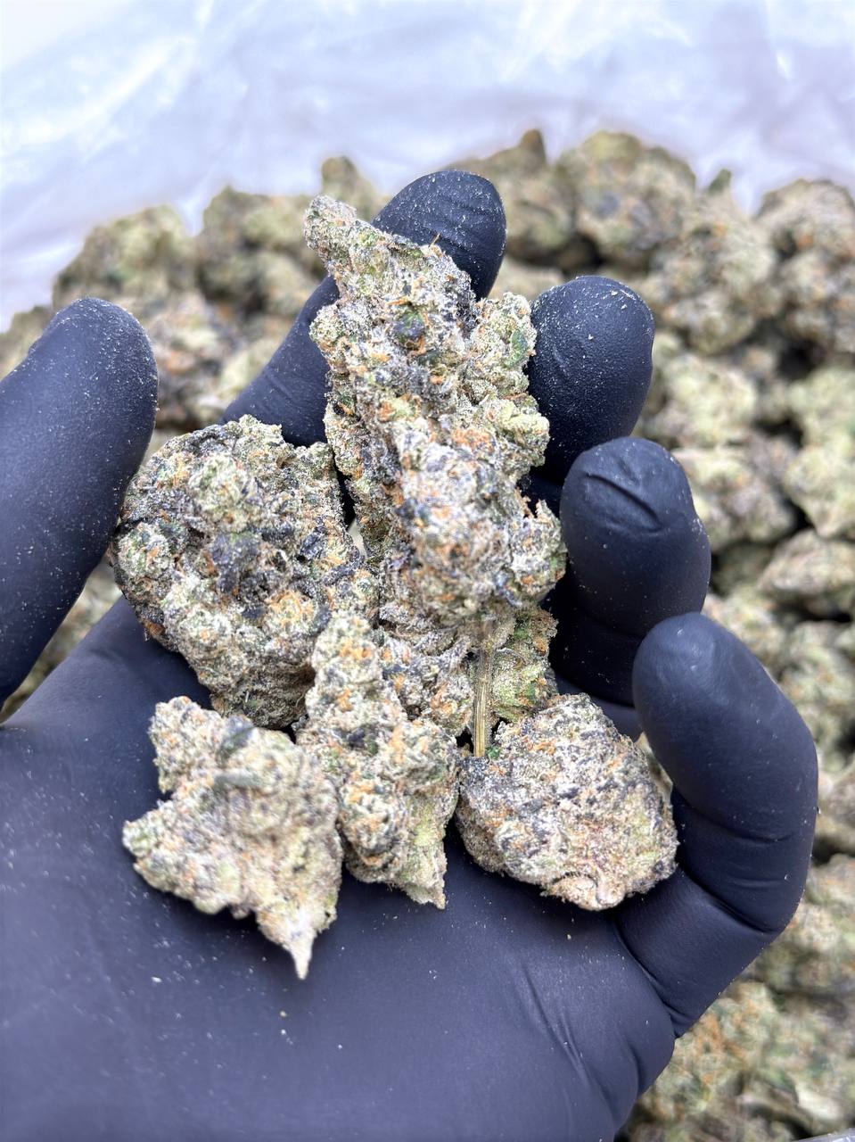 Zour Apples - Image 2