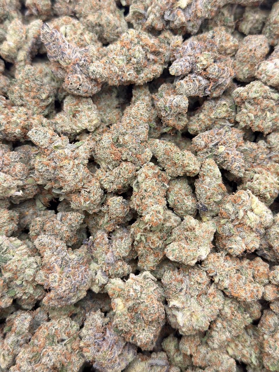 XJ-13 Premium Living Soil - Image 3