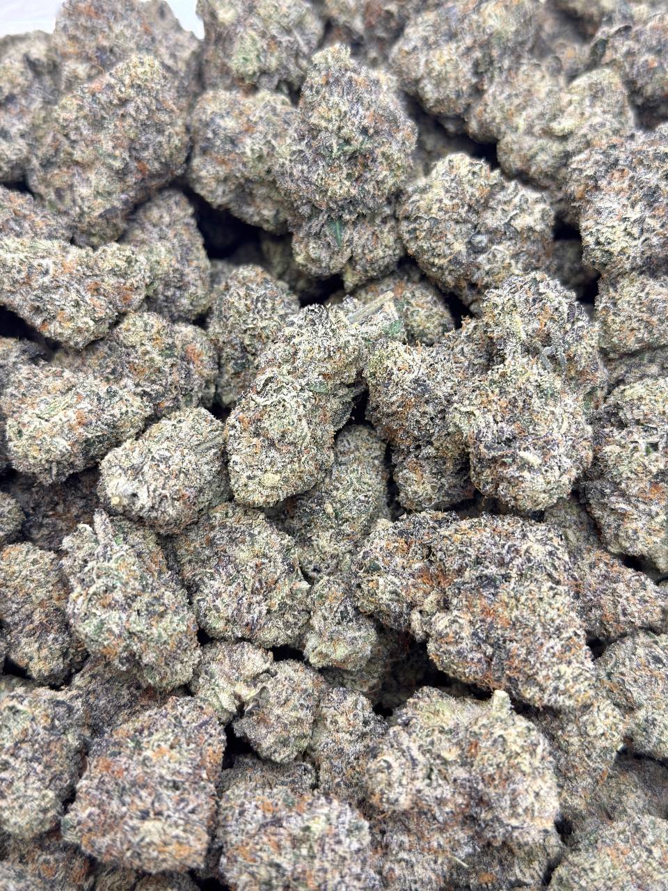 Lemon Face - Image 4