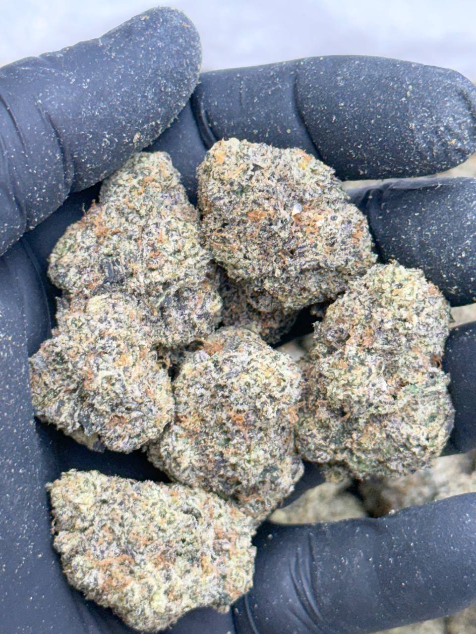 Lemon Face - Image 3