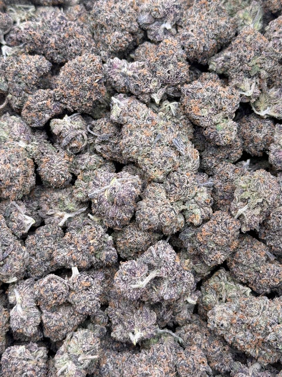 Blackberry BUDGET - Image 2