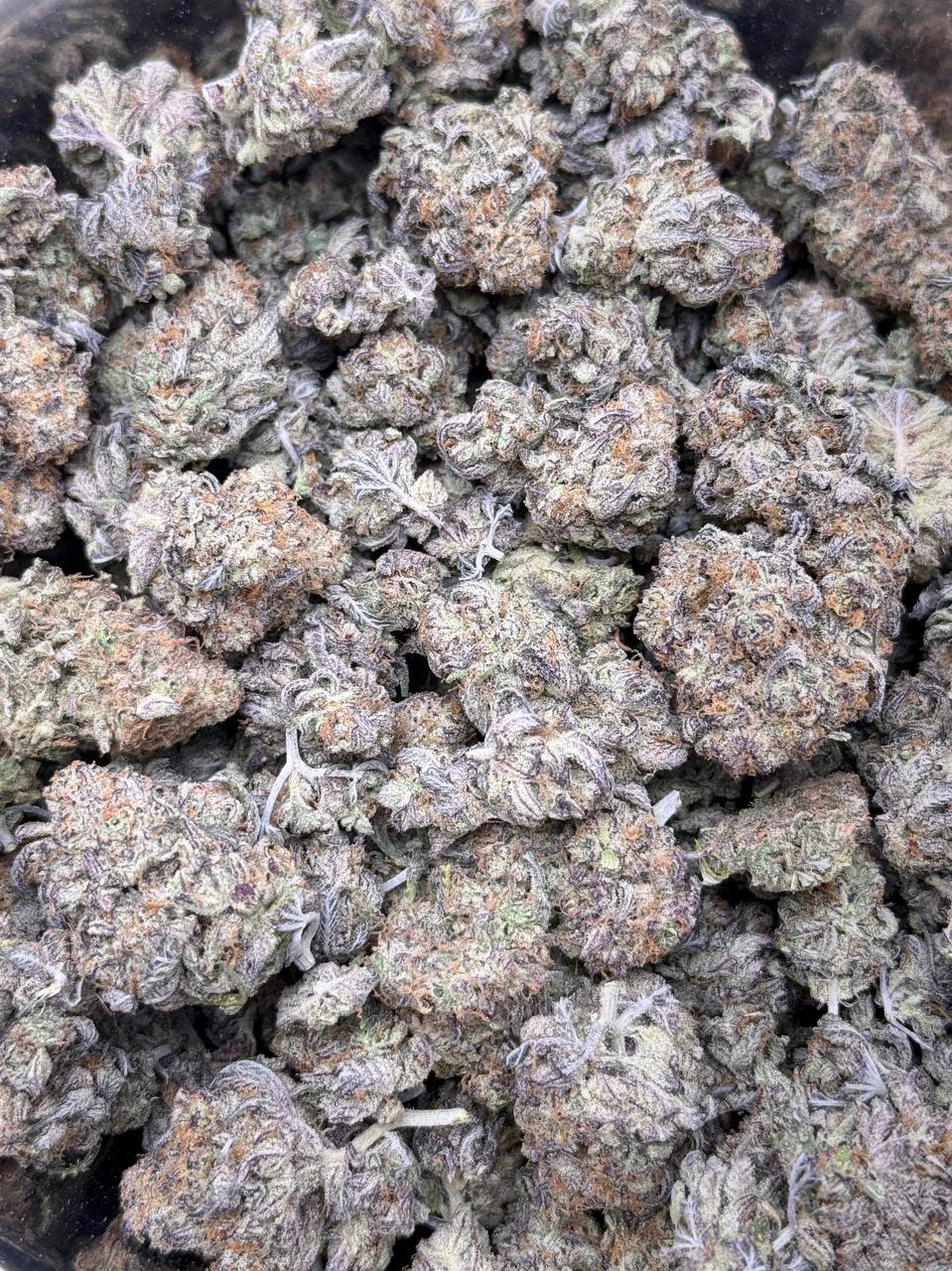 Jelly Pancakes BUDGET - Image 3